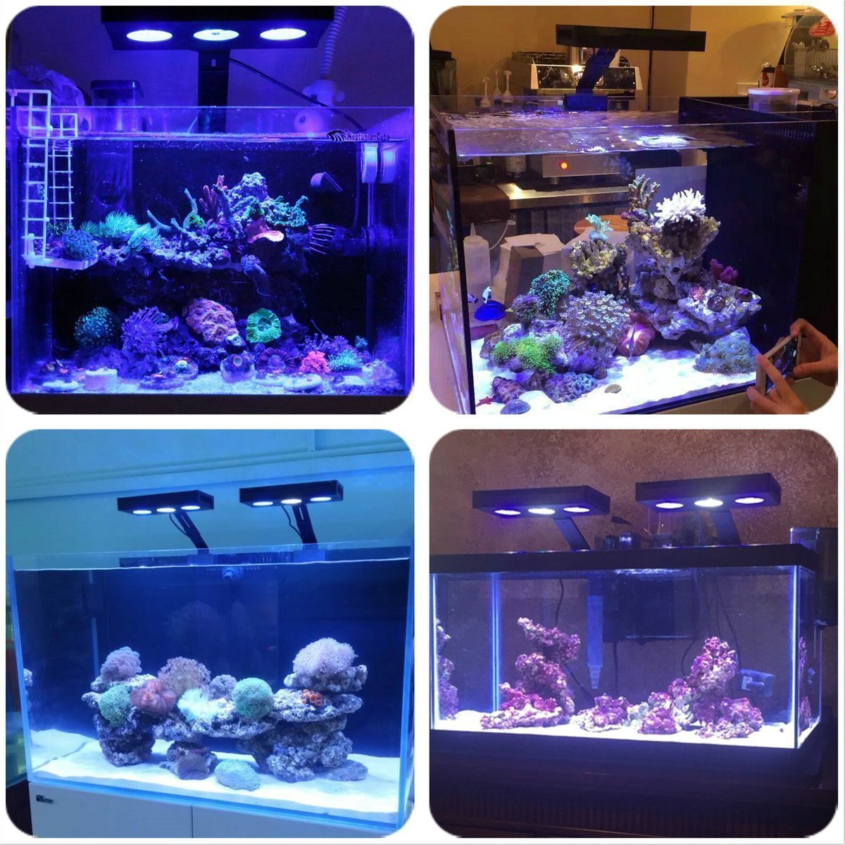 CTLite 30w coral reef light 20-40cm reef tank aquarium led light marine aquarium lamp with timer