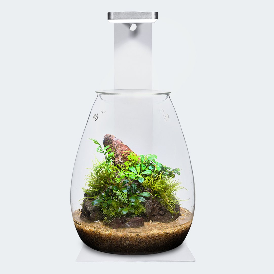 MicMol Mgnetic Light Aquatic Plants Small LED Lighting