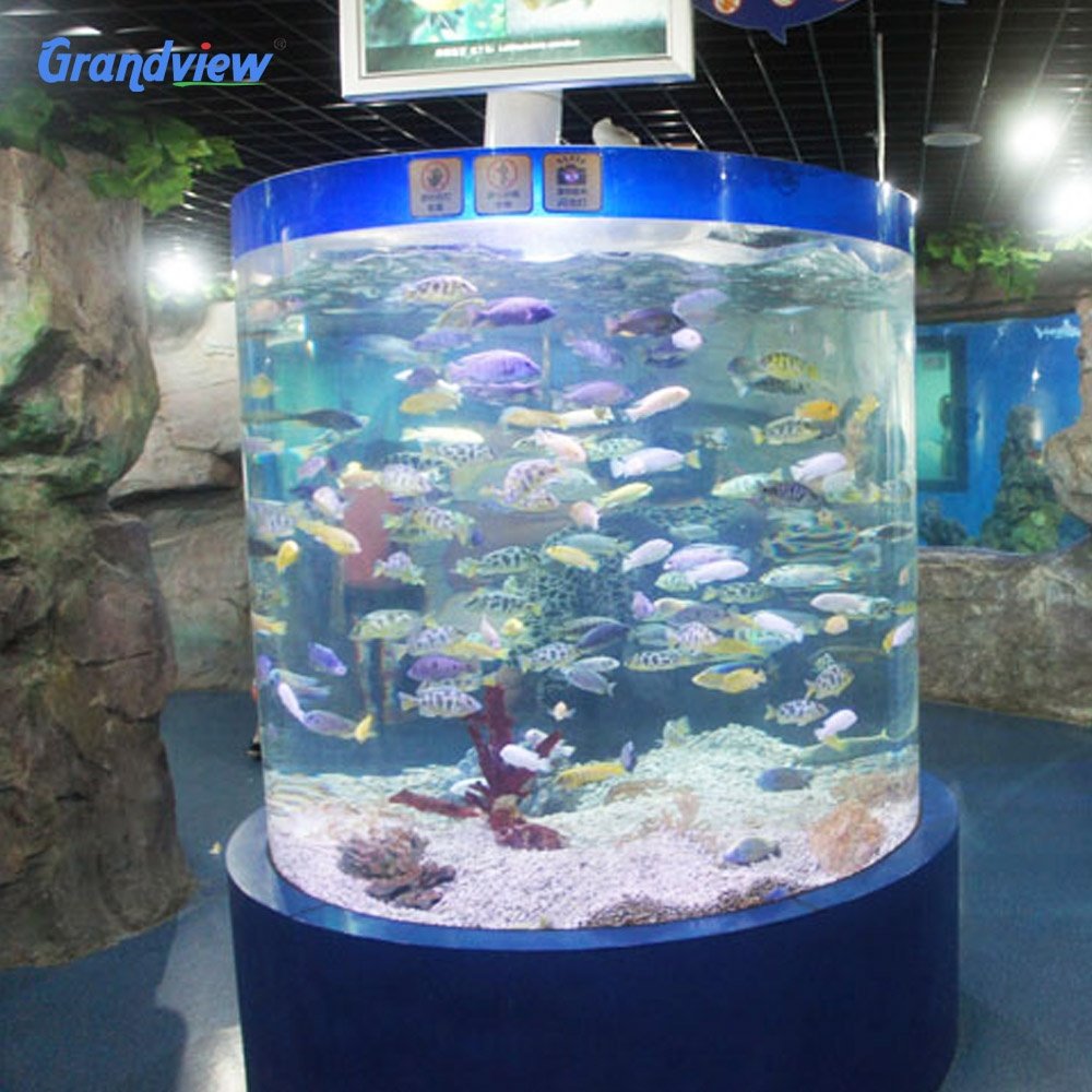 Grandview transparent cylinder acrylic decoration aquarium fish tank