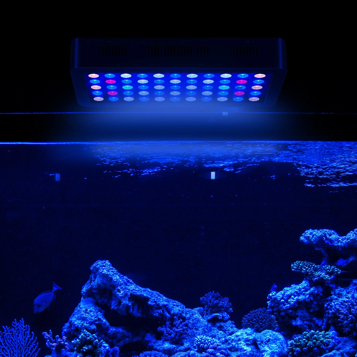 Chinese sunrise sunset programmable led aquarium light 165W Full Spectrum led aquarium light coral reef