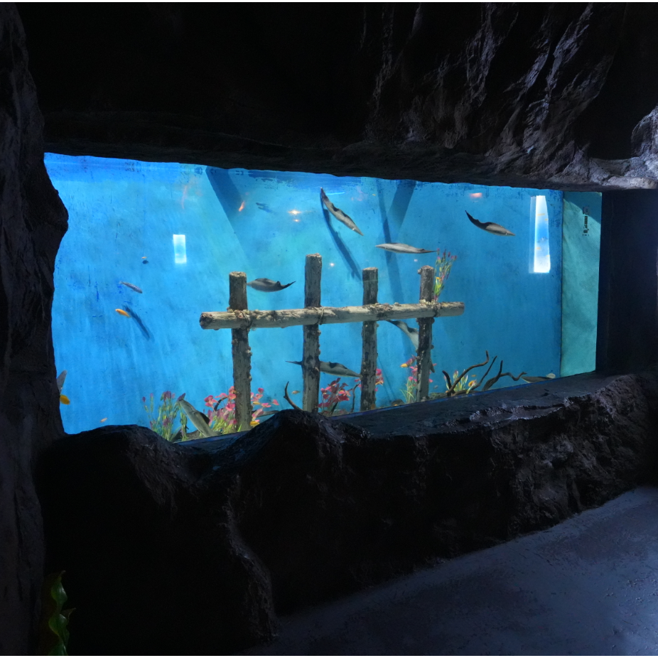 Hot Selling Manufacturer Large Round Big Square White Aquarium Tank Lighting