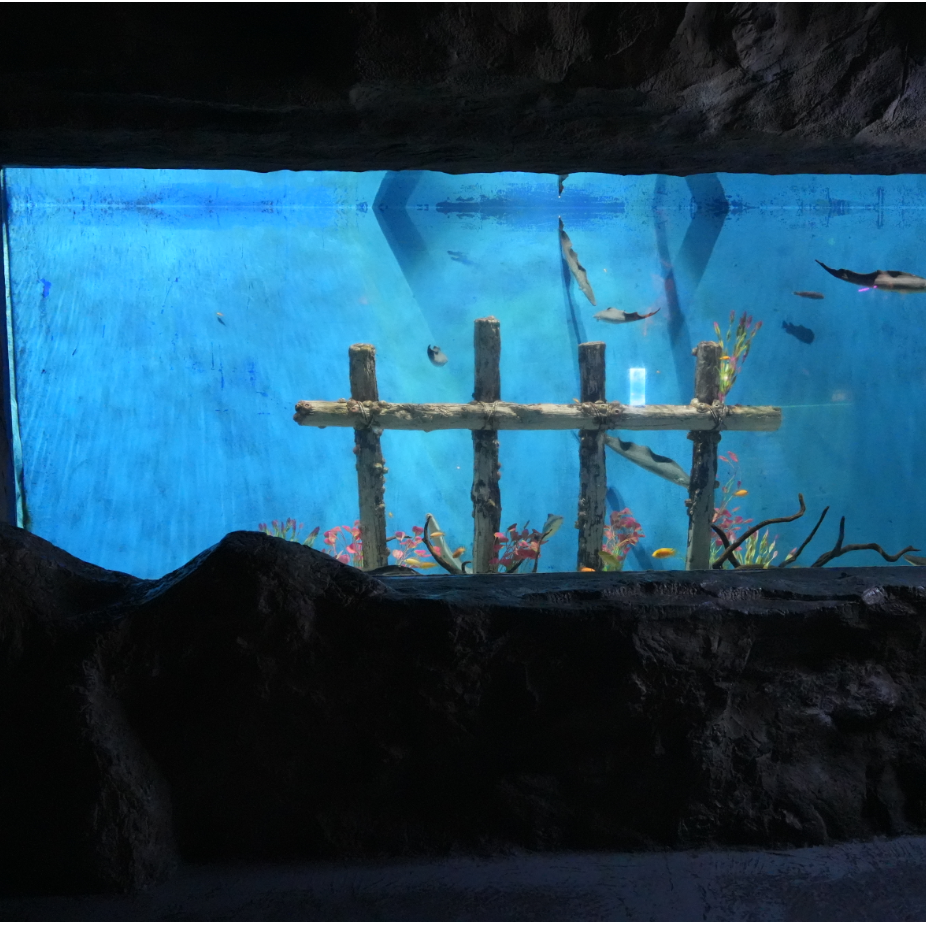 Hot Selling Manufacturer Large Round Big Square White Aquarium Tank Lighting