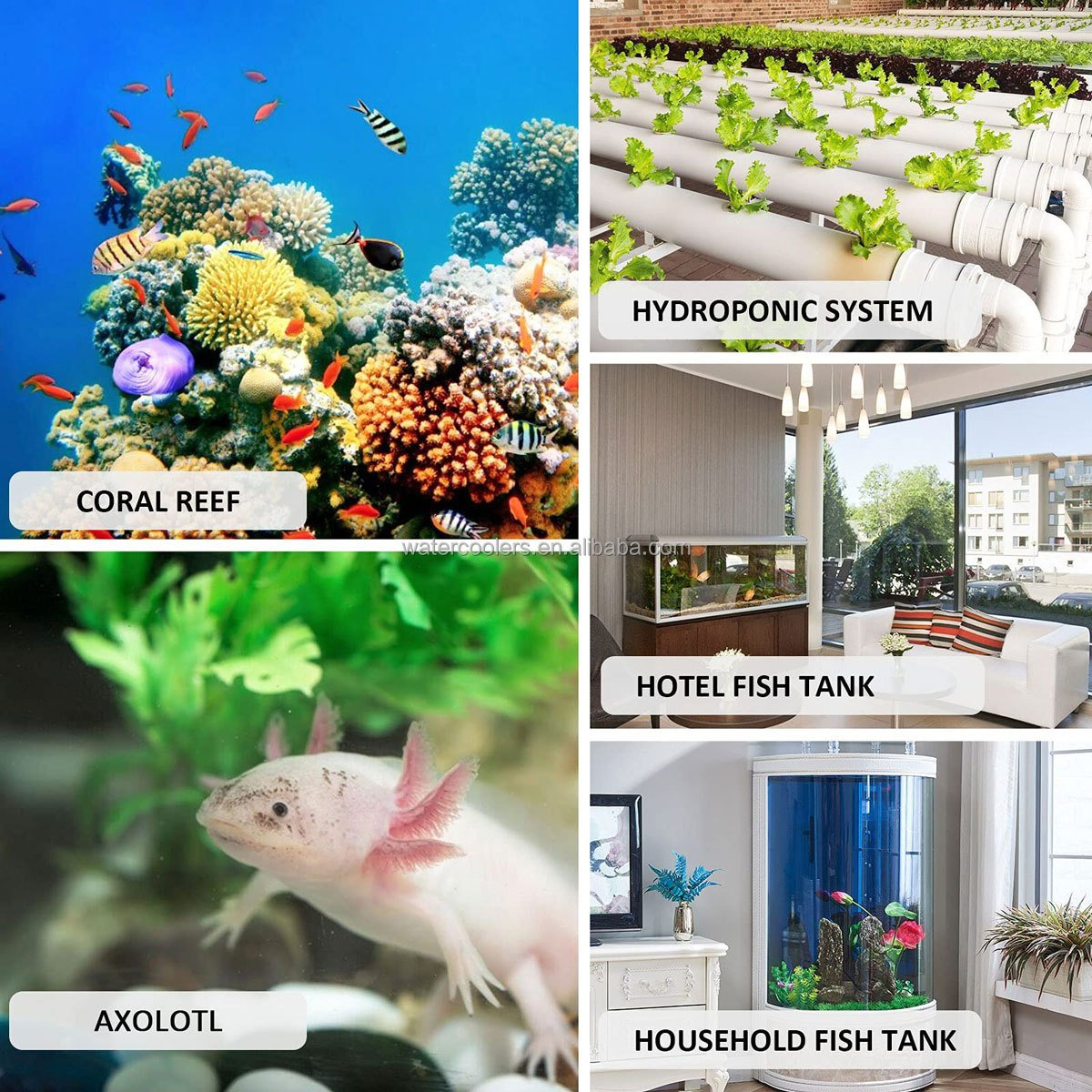 160L 300L Aquarium Chiller 75gal 1/3 HP Fish Tank Chiller Special Quiet Design Refrigeration Compressor