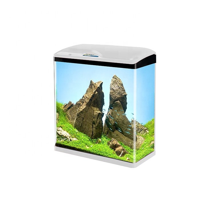 wholesale sobo unique small mini glass aquarium accessories fish tank
