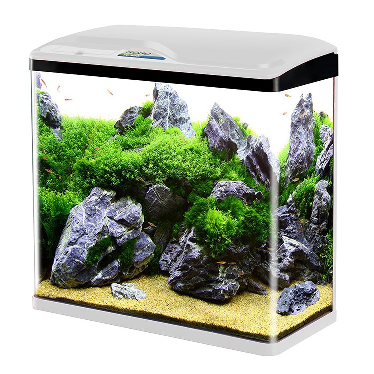 wholesale sobo unique small mini glass aquarium accessories fish tank