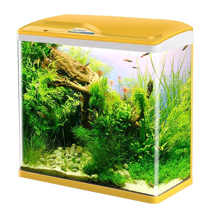wholesale sobo unique small mini glass aquarium accessories fish tank