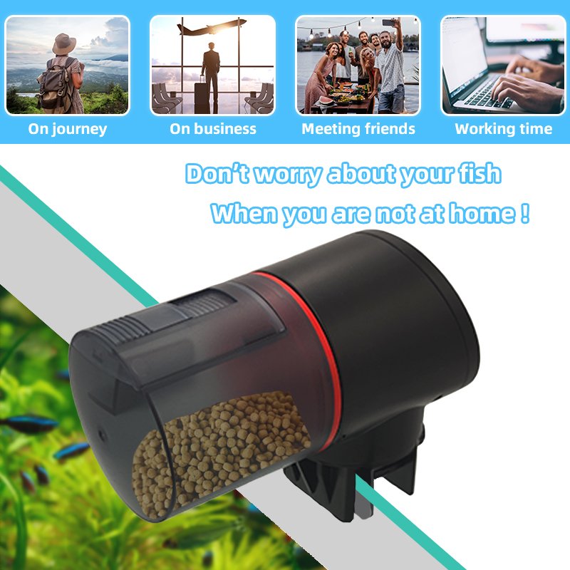 Chiye Black Plastic Lithium Battery Timer Touch Control Automatic Fish Feeder for Fish Tank