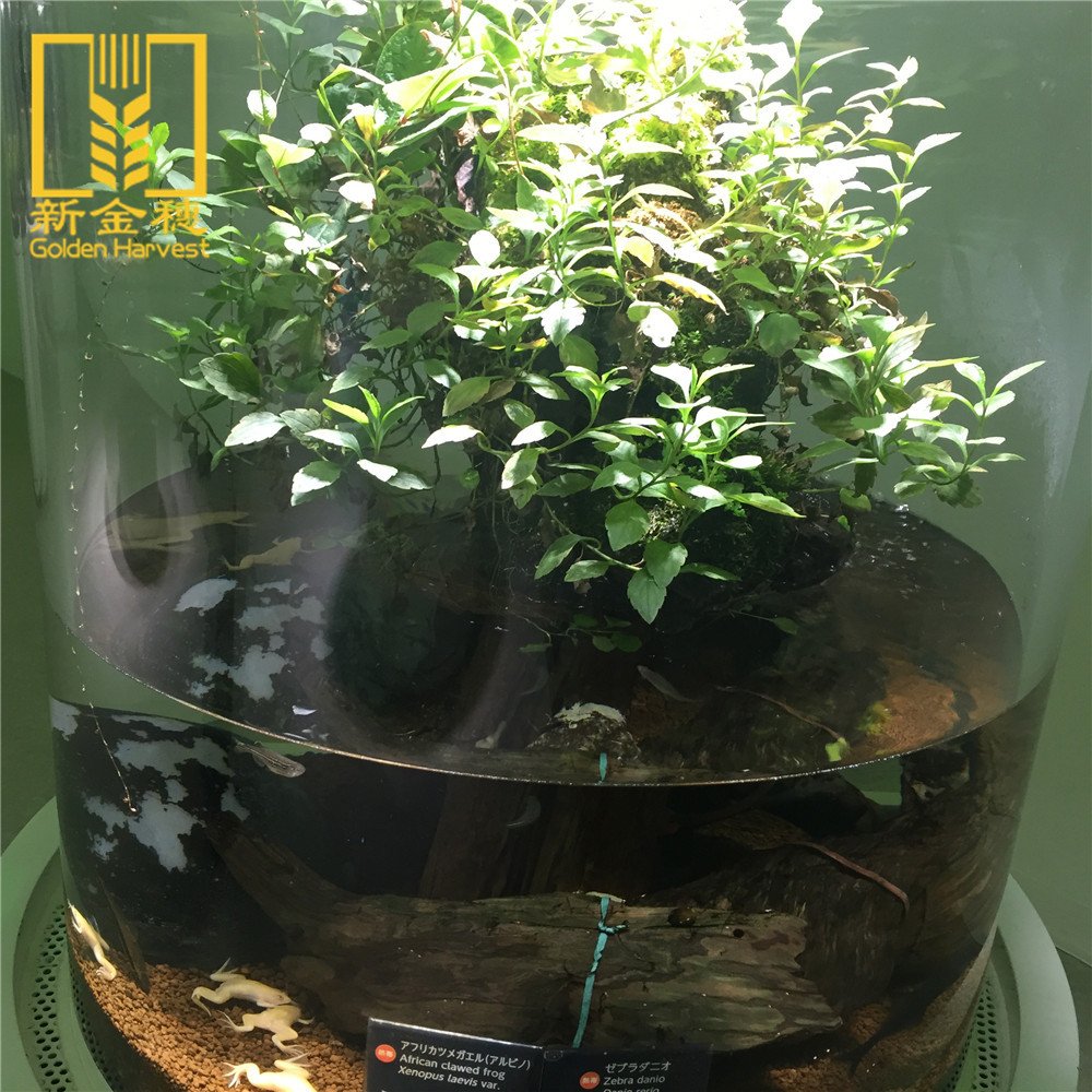 2023 Chinese manufacturers fish tank large acrylic round acrylic aquarium