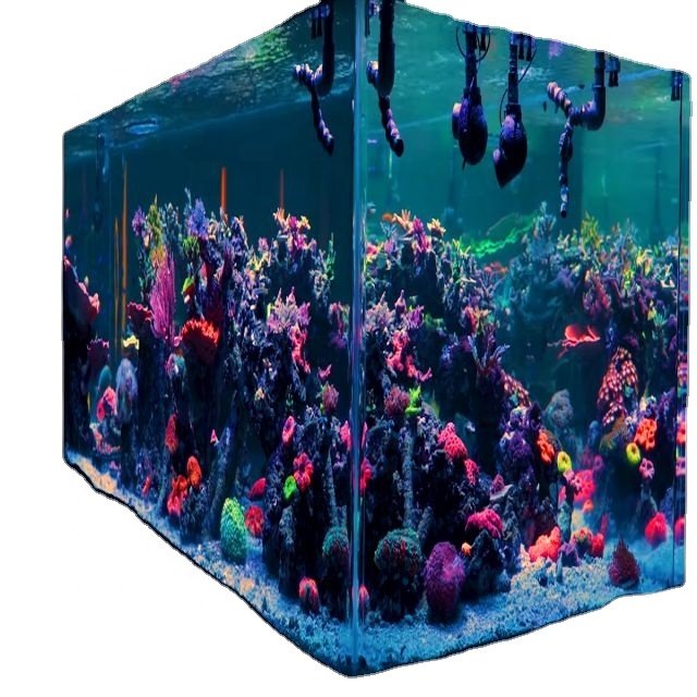 Two-Layer Clear Acrylic Aquarium Fish Tanks from Premium Supplier Custom