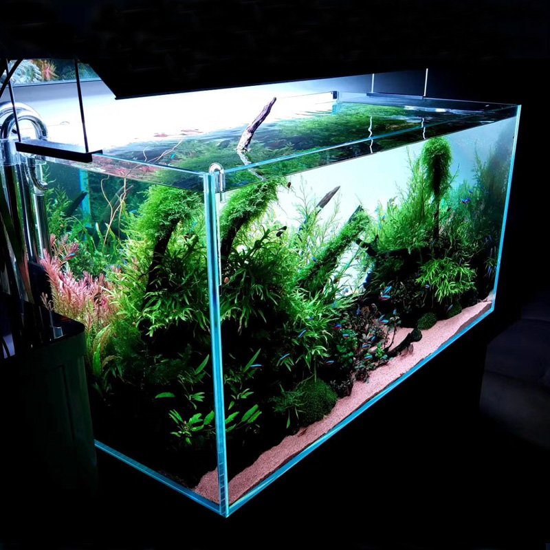 affordable 30w led aquarium backlight panel lights for fish tanks lighting 600*360mm