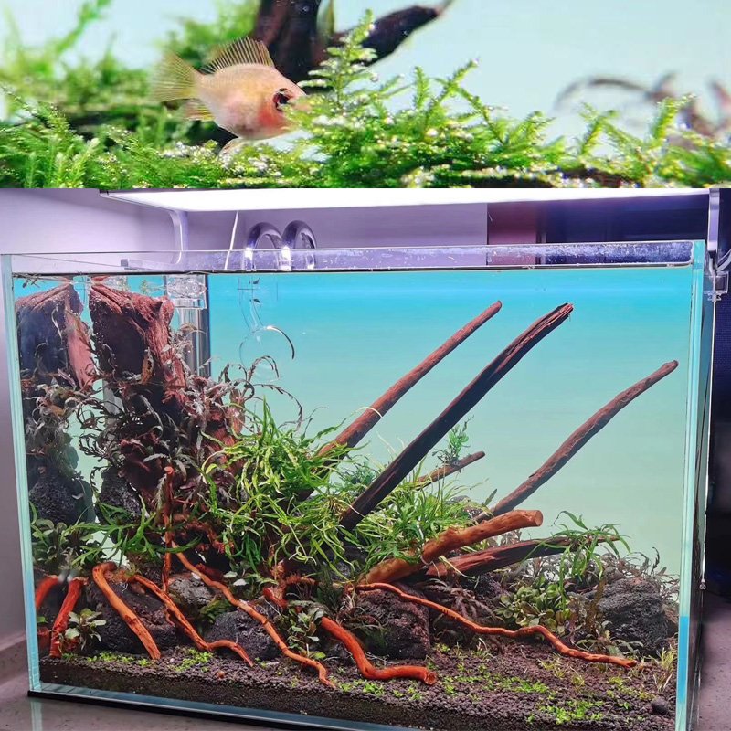 affordable 30w led aquarium backlight panel lights for fish tanks lighting 600*360mm
