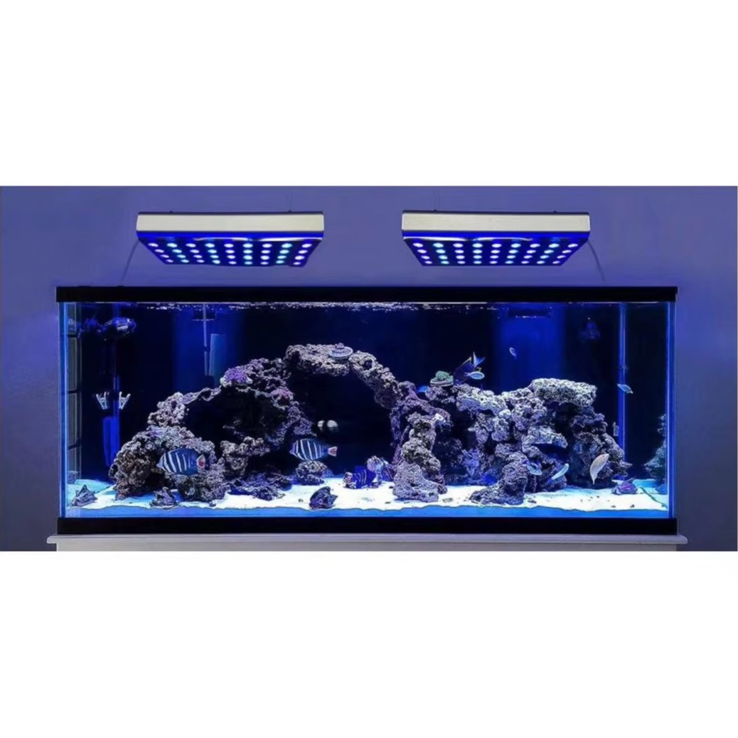 Pastel Starry Energy-Efficient Marine Reef Lighting Aquatic Plant Light Lamp Power