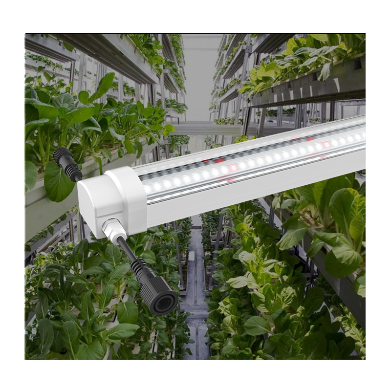 High PPFD IP65 Waterproof Hydroponics T8 Led Grow Light Tube Full Spectrum Plant Lamp For Vertical Farming