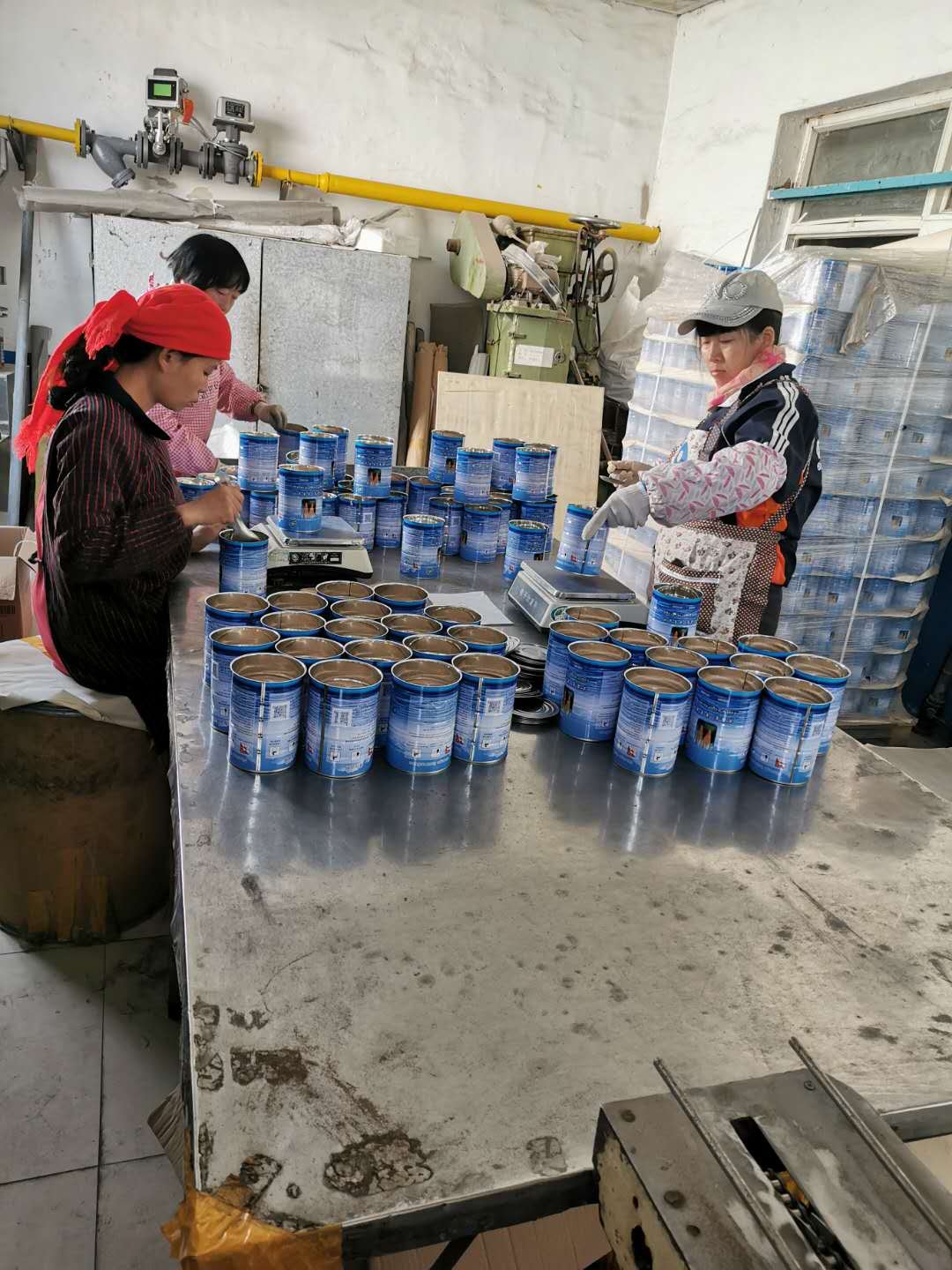 Professional Factory Aquarium Fish Food Artemia Cysts Brine Shrimp Eggs Fish Food For Farming