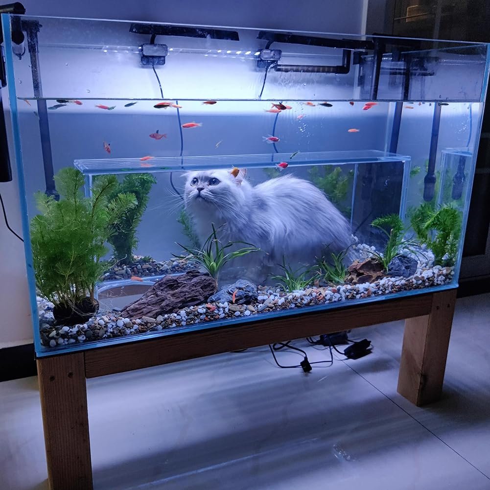 2024 Modern Cat View Fish Aquarium Glass Tank Custom Volume with Sustainable Plastic Lighting Type