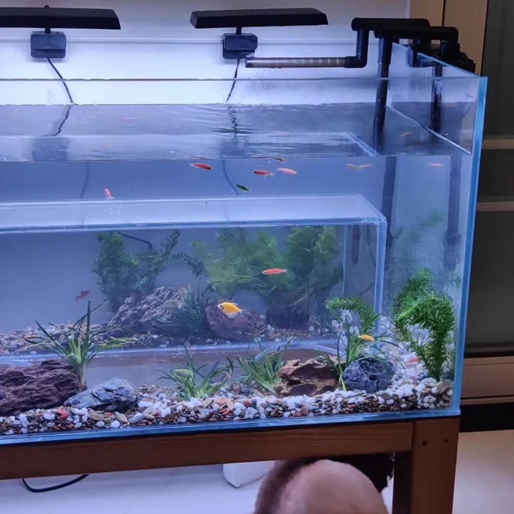 2024 Modern Cat View Fish Aquarium Glass Tank Custom Volume with Sustainable Plastic Lighting Type