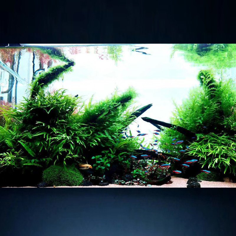 Fish Tank light multiple color customized led light fish tank aquarium led light fish tank 4ft