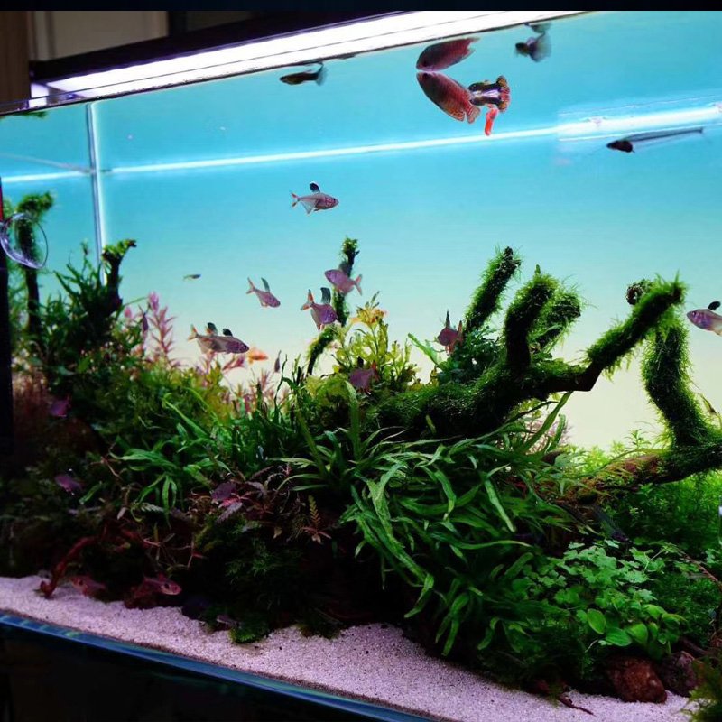 Fish Tank light multiple color customized led light fish tank aquarium led light fish tank 4ft