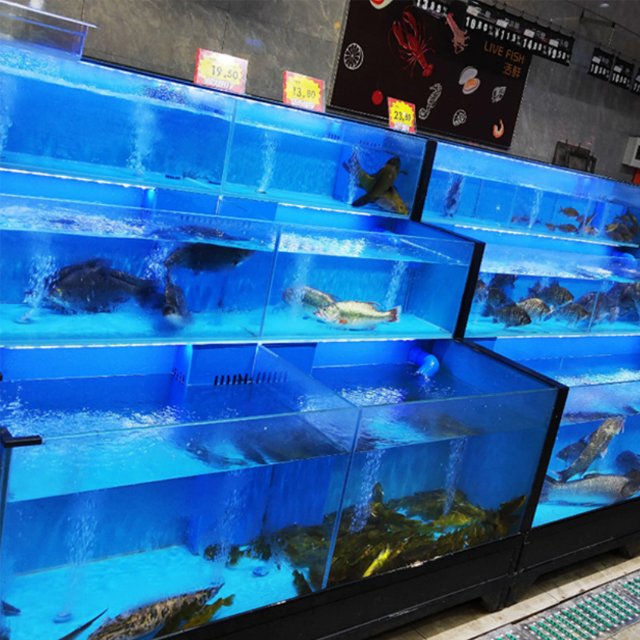 LED Seafood aquarium light for seafood market booth tank restaurants waterproof fresh live fish tank