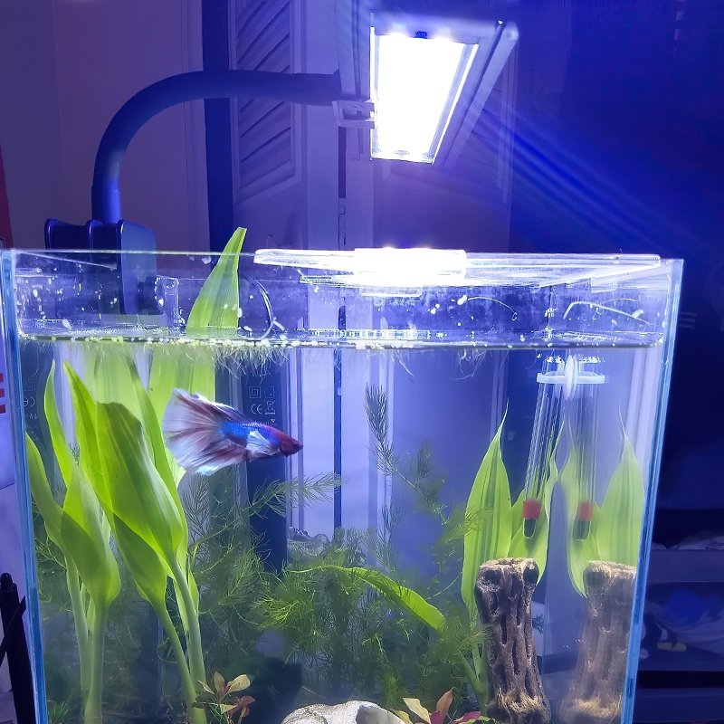 Hygger Aquarium Light Clip on Small Led Light for Aquarium Fish Tank LED Light For Aquariums