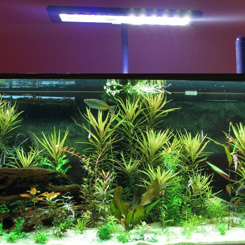 Hygger Aquarium Light Clip on Small Led Light for Aquarium Fish Tank LED Light For Aquariums