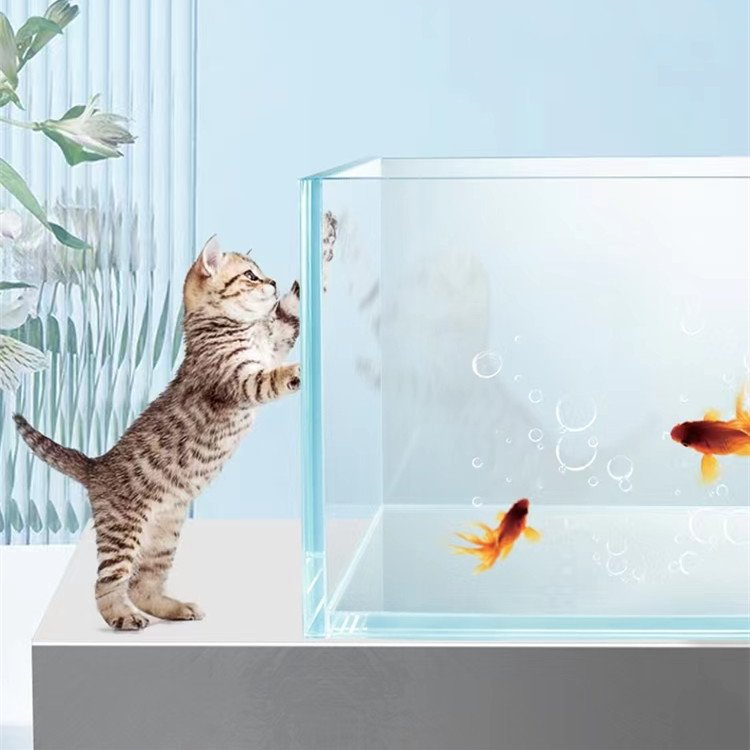 8mm 10mm 12mm 15mm 19mm Fish Aquarium Tank Large Glass Ultra Clear Glass Toughened Glass