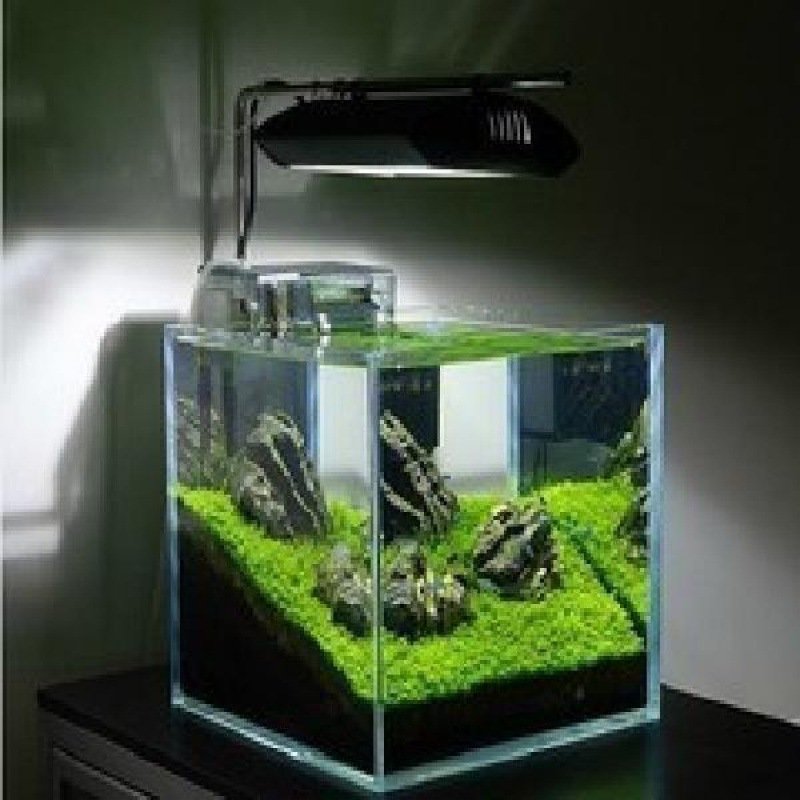 Custom Ultra White Glass Aquarium Fish Tank 4 Gallon Small Gold Crystal Ultra White Tank