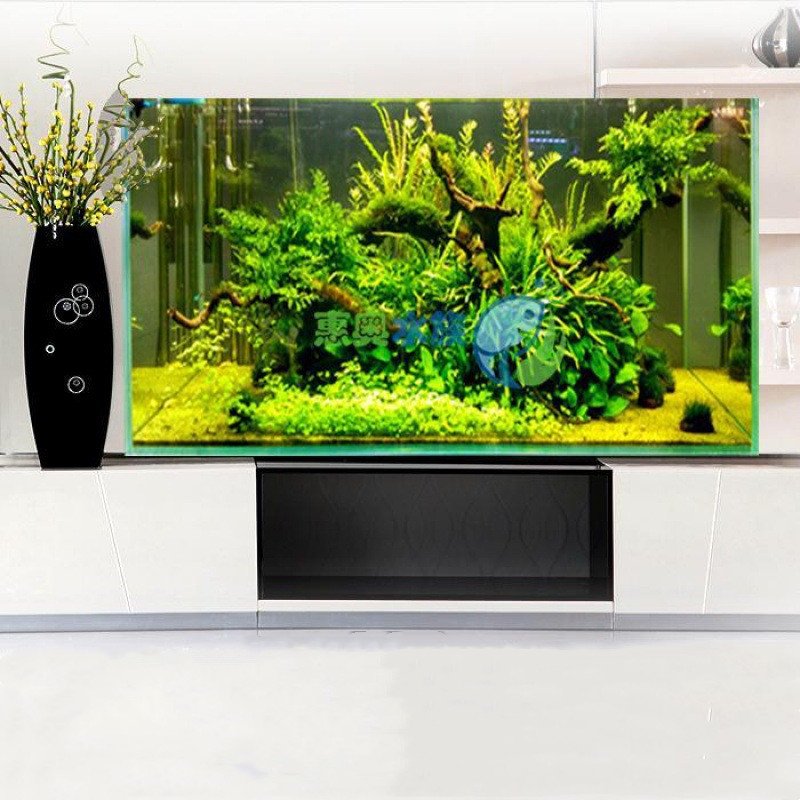 Custom Ultra White Glass Aquarium Fish Tank 4 Gallon Small Gold Crystal Ultra White Tank