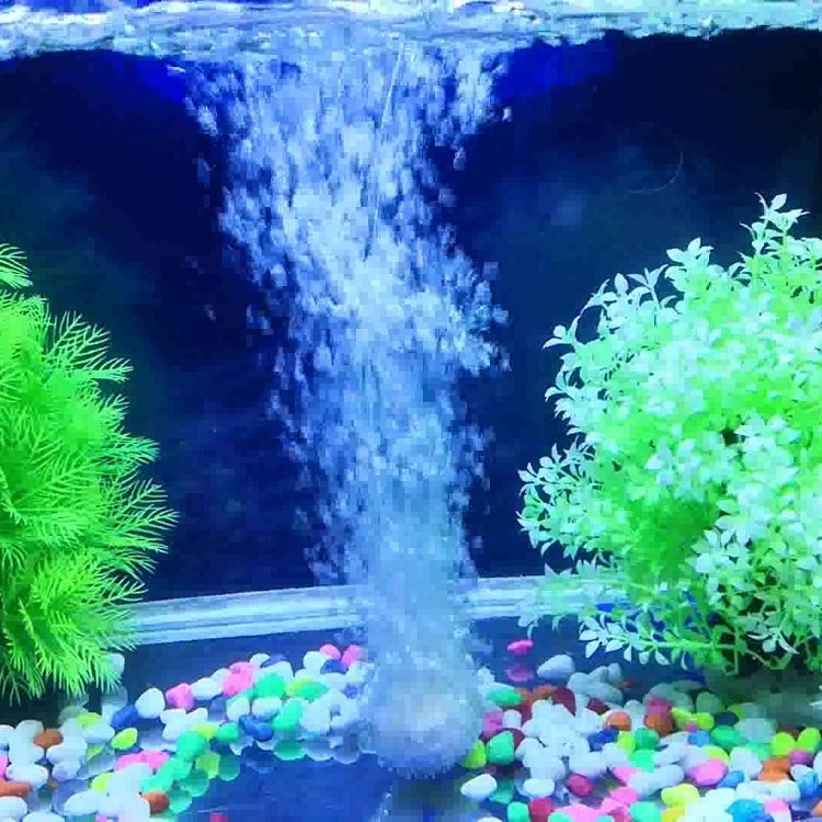 HiSin/HaiXin WS012 d50mm In bluk aquarium white Corundum air stone with micro bubbles oxygen bubble tube air pump components