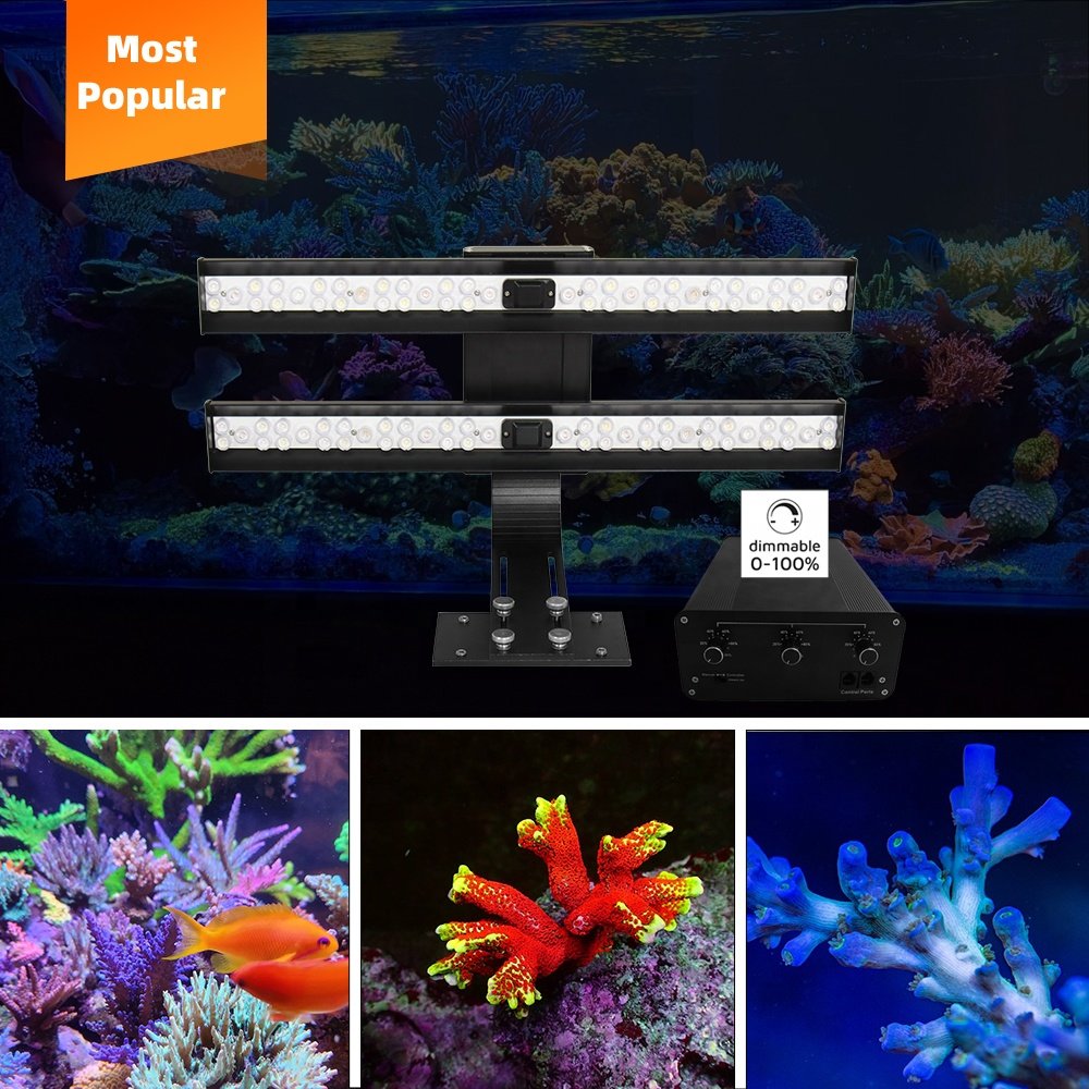 Top Quality Zetlight Led Light Coral Grow Marine Reef Tank Wrgb Led Aquarium Light Hanging Aquarium Light Supplier From China