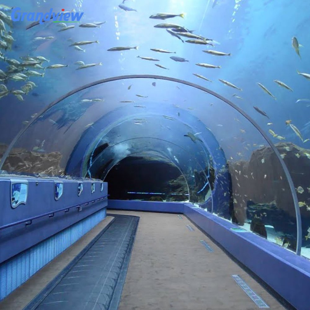 Grandview Curved Acrylic Aquarium Clear Acrylic Sheet Underwater Acrylic Glass Tunnel Aquarium