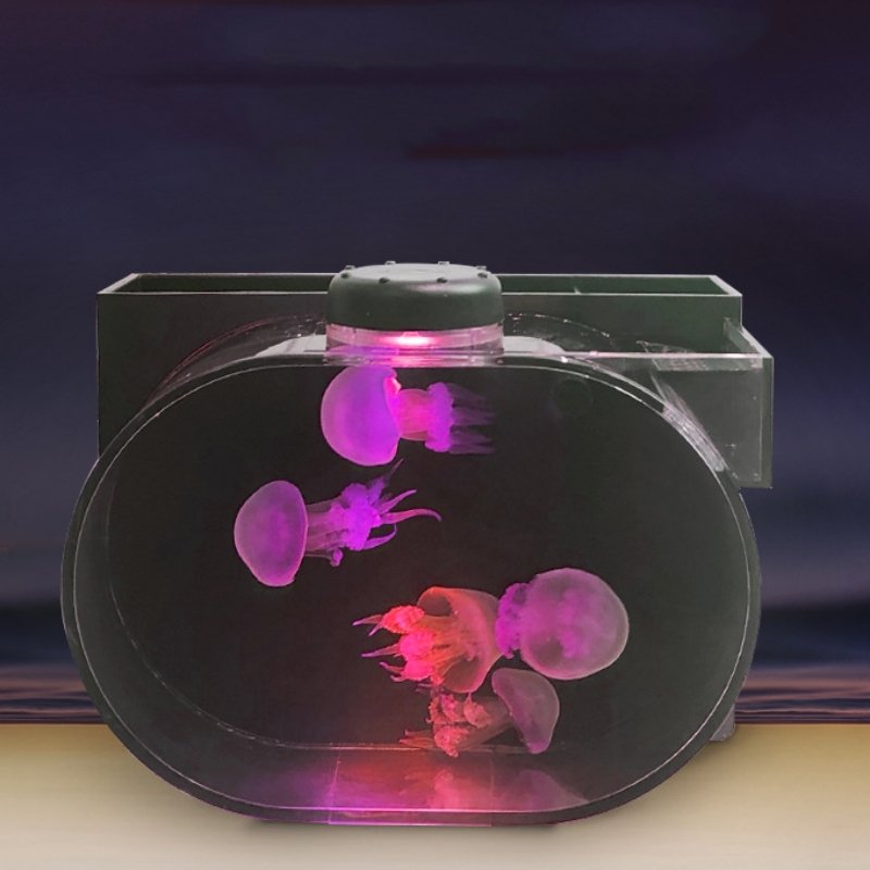 Medium LED Light for Glass Aquarium Fish Tank Colorful Acrylic Material Plug-in Power Supply Home Office