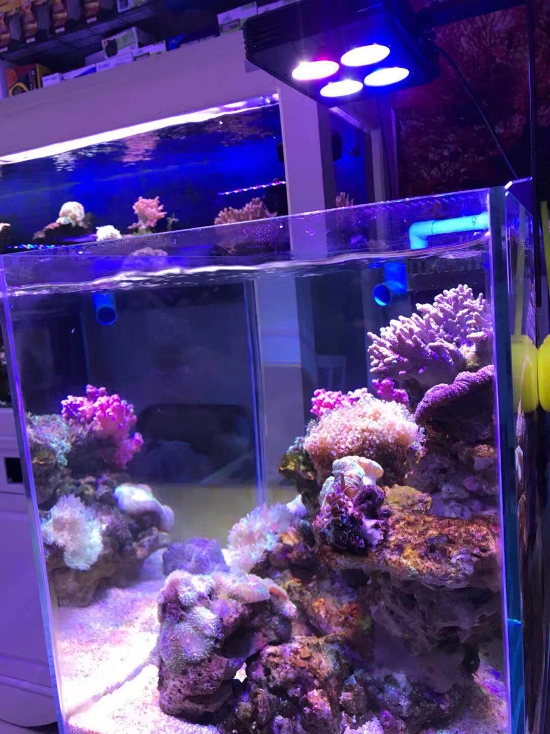 Gako A052 52W hot sale led aquarium light 48 inch marine land for reef tank