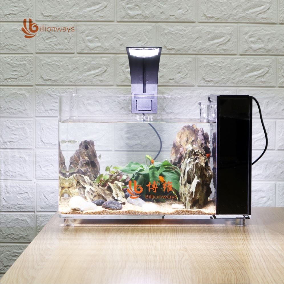 Custom Size Fish Tank Acrylic Large Acrylic Cube Fish Tank With Filtration Lucite Betta Fish Tank