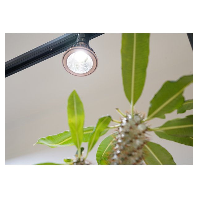 Top Quality Good Approval Plants Grow Led 10W Akadamachan Underwater Aquarium Light Waterproofing