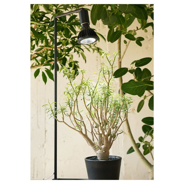 Finesse Recommendations Adjusted Angle Led Base Akond Thin Frame Modern Lamp Floor Standing