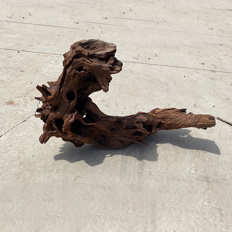 driftwood aquarium fish tank malaysia mangrove wood Natural driftwood for aquarium