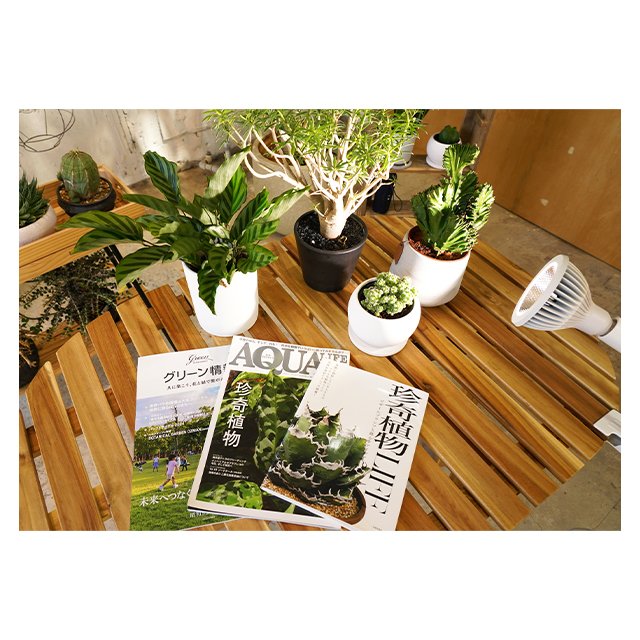 Fast Sellers Good Quality NEO TSUKUYOMI 20W Plant Grow Full Spectrum LED Light Professional
