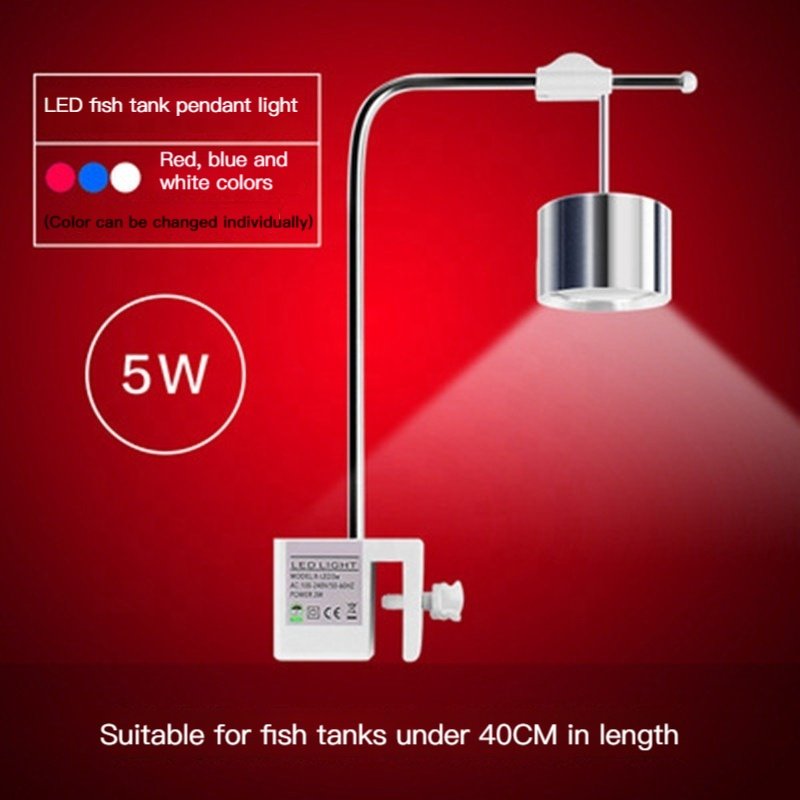 China Factory Direct 5W Aquarium Led Light For Aquarium Lighting Systems Fish Tank Planted Reef Fish Jellyfish Moss