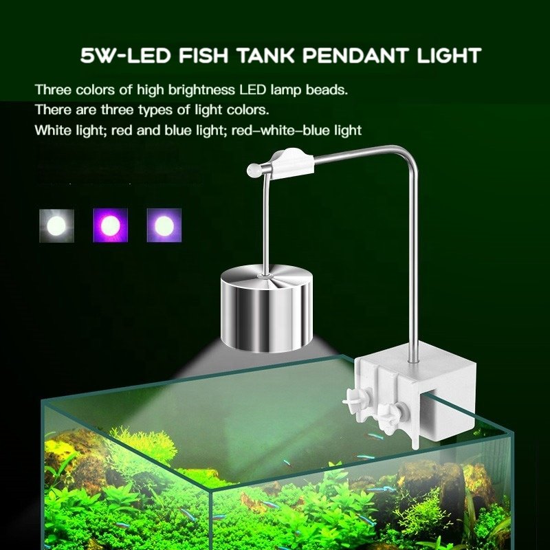 China Factory Direct 5W Aquarium Led Light For Aquarium Lighting Systems Fish Tank Planted Reef Fish Jellyfish Moss