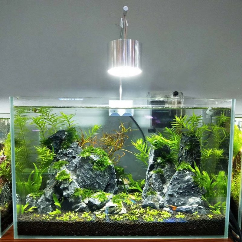 China Factory Direct 5W Aquarium Led Light For Aquarium Lighting Systems Fish Tank Planted Reef Fish Jellyfish Moss