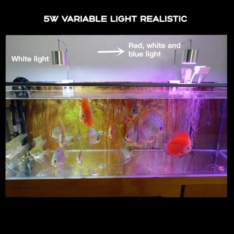 China Factory Direct 5W Aquarium Led Light For Aquarium Lighting Systems Fish Tank Planted Reef Fish Jellyfish Moss