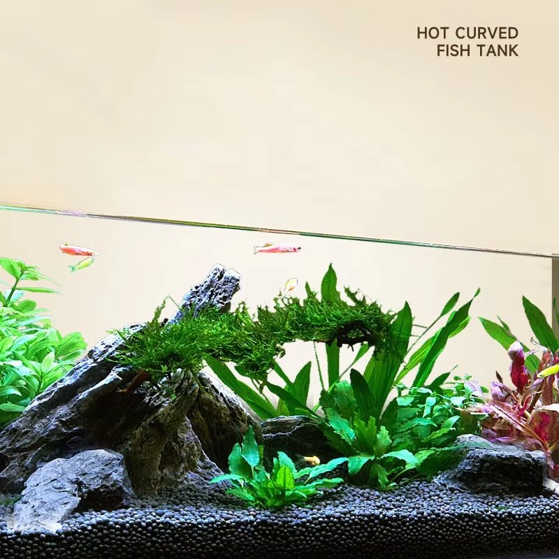 Clear Glass Aquarium Desktop Ecological Aquatic Plant Tank Night Light Fish Tank