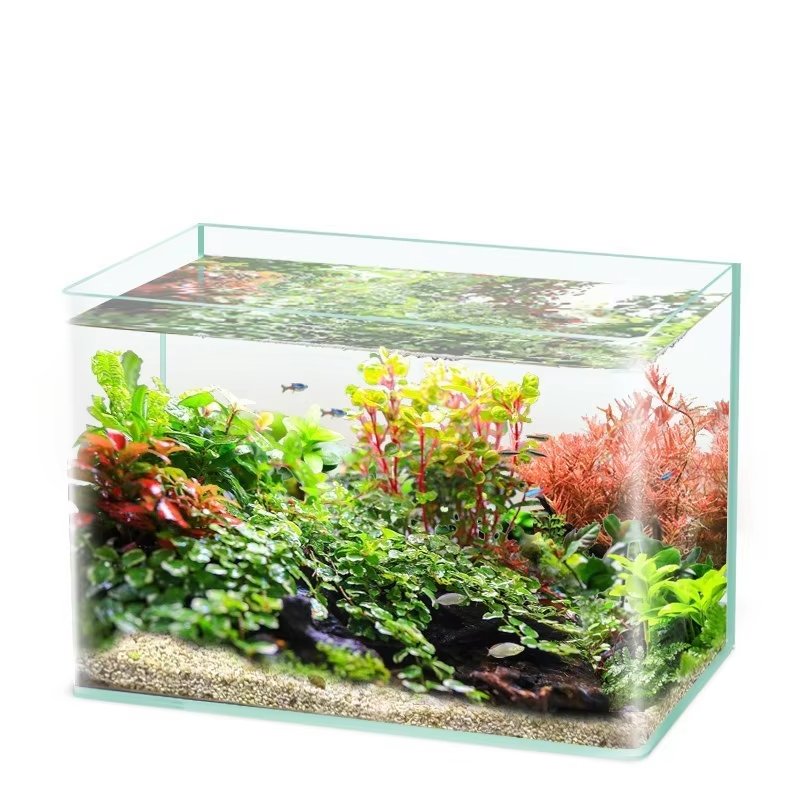 Clear Glass Aquarium Desktop Ecological Aquatic Plant Tank Night Light Fish Tank