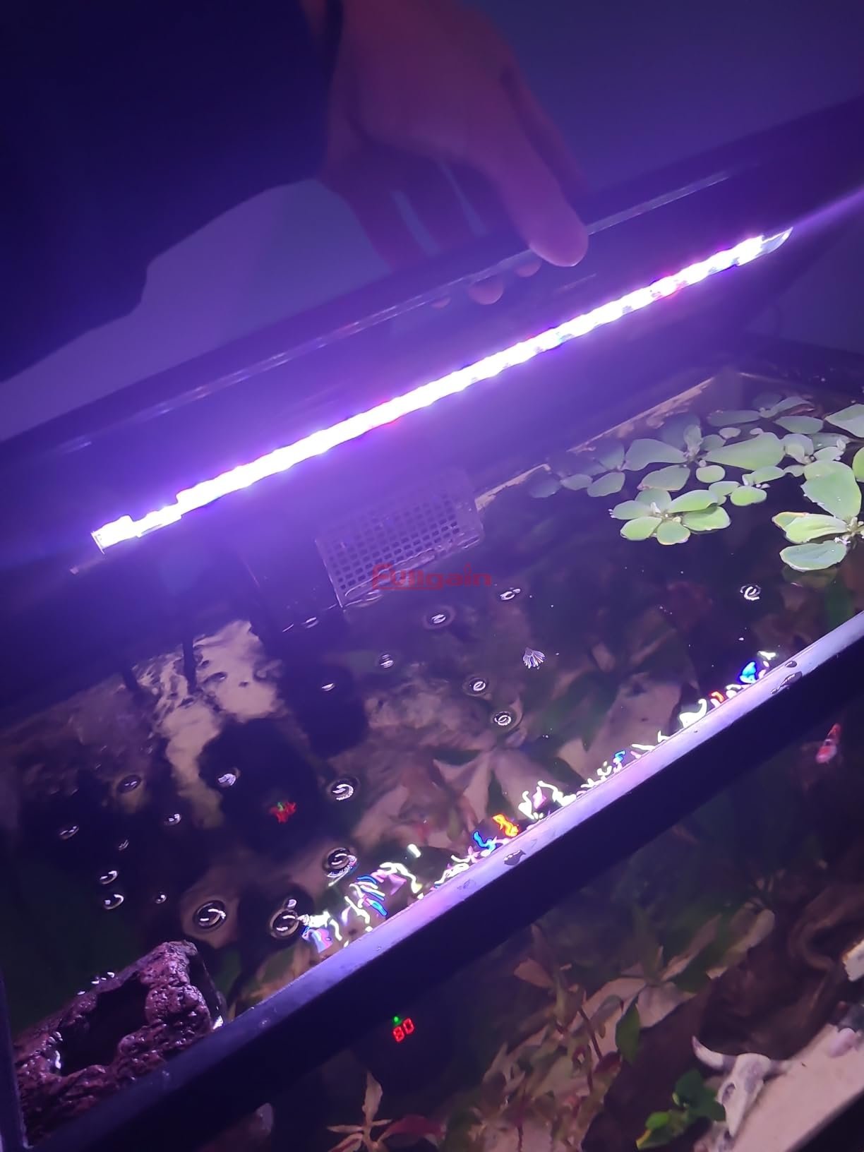 Fullgain FG152 36" 24 Hour Program Timer Control Sanrise Aquarium Light Full Spectrum Led 1200mm Lamp For Round Aquarium