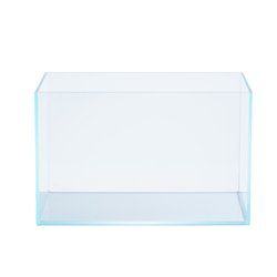 transparent