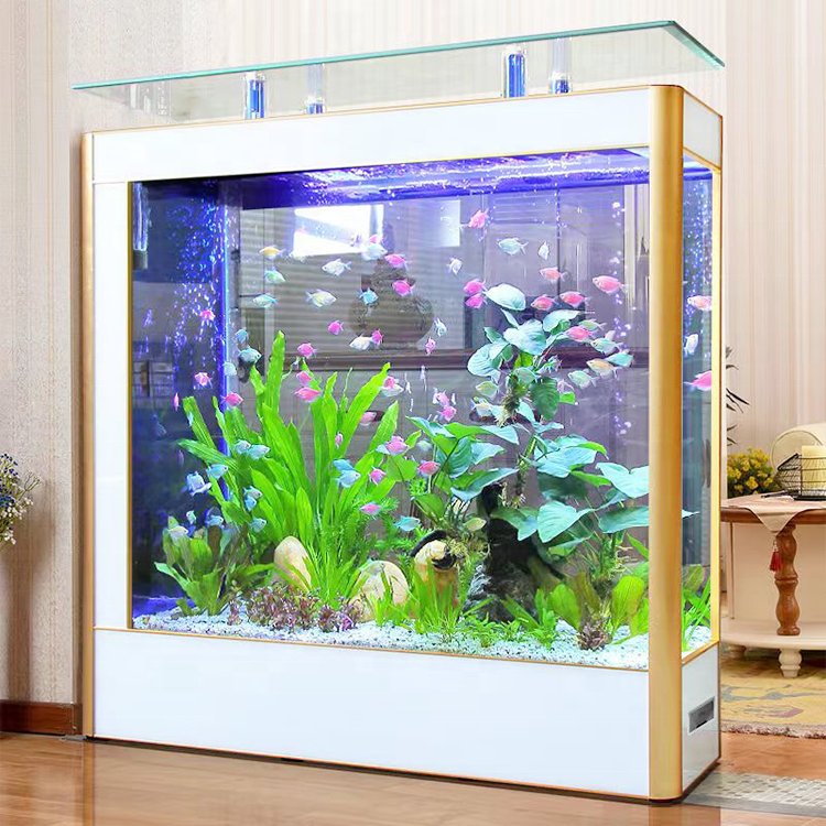 High Quality European Style Screen Cylinder Hydroponic Fish Tank For Home Decorations
