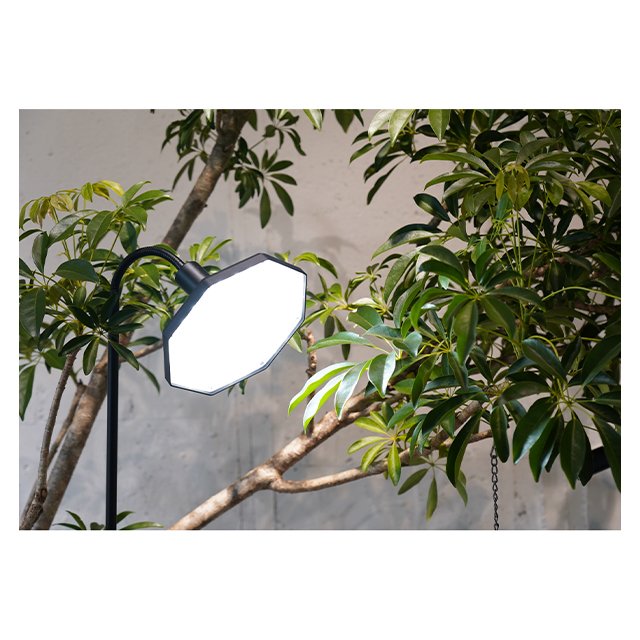 Finesse Prices Perfect Graded IP54 Wide Irradiations LED Light Octagonal Adjustable Grow Lamp