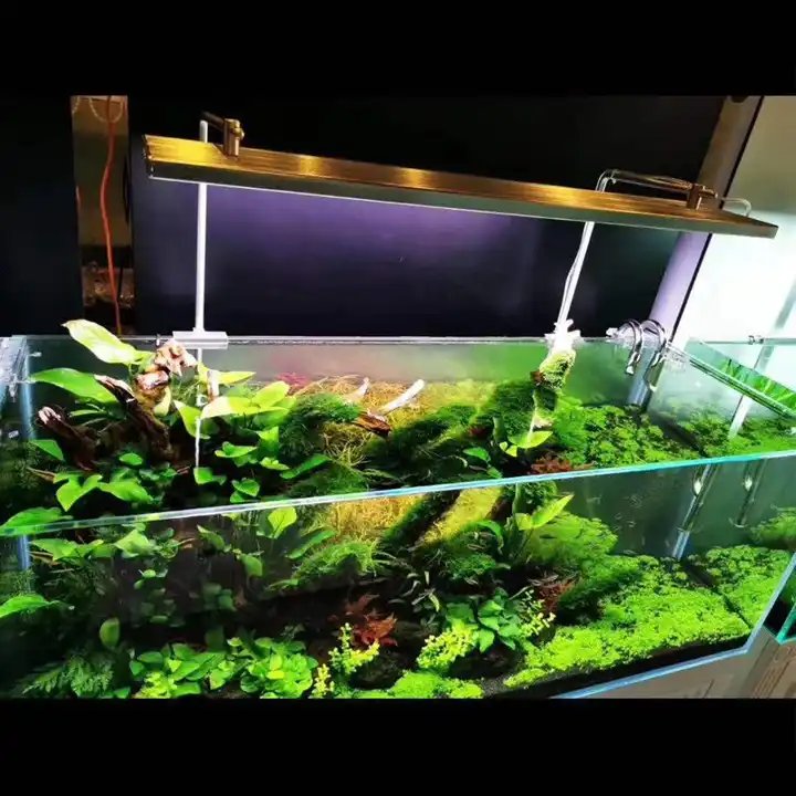 High-quality landscaping LED lights for fish tanks