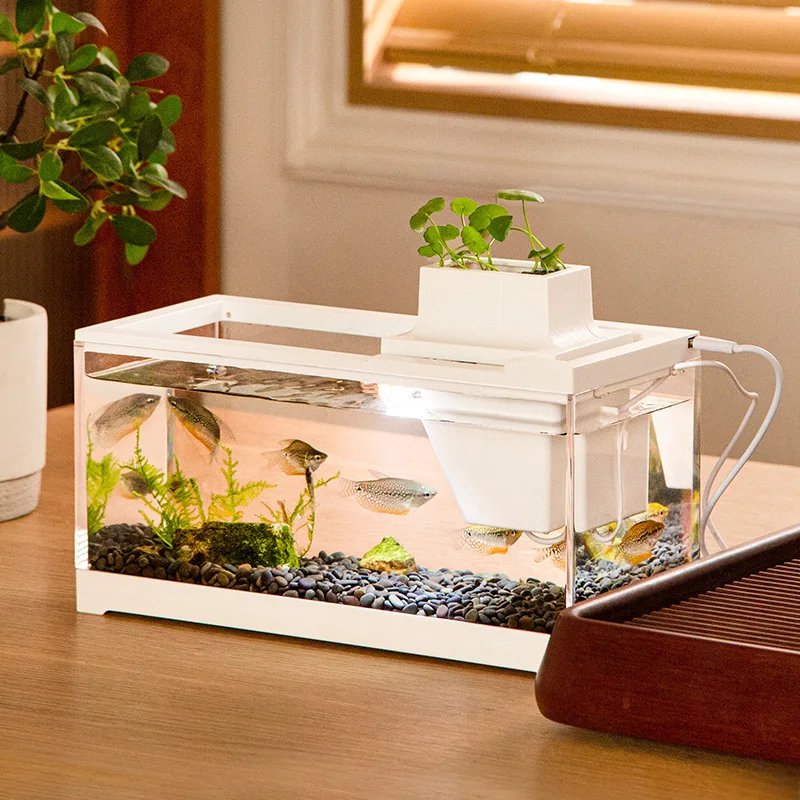Guppy Tropical Fish Tank Filter Mute Heating Feeding Small Desktop Fish Tank Lantern Fish Shrimp Household Aquarium